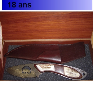/img/p/1832-2082-thickbox.jpg