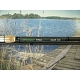 CANNE ANGLAISE TITAN CARP MEDIUM 390    