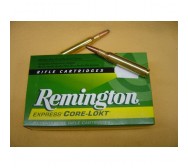 BALLE REMINGTON 280REM                  