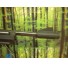 PISTOLET CROSMAN 45MM BB BENJAMIN TRAIL