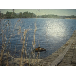 /img/p/2240-2842-thickbox.jpg