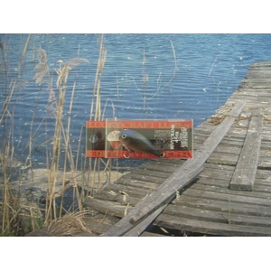 /img/p/2407-3028-thickbox.jpg