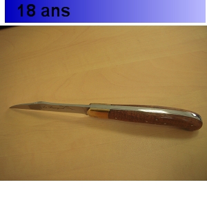 /img/p/2454-3079-thickbox.jpg